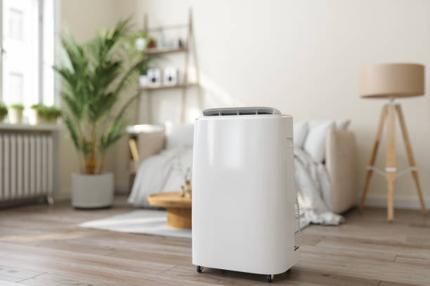Best Ductless Mini-Split Systems in Weldon, CA